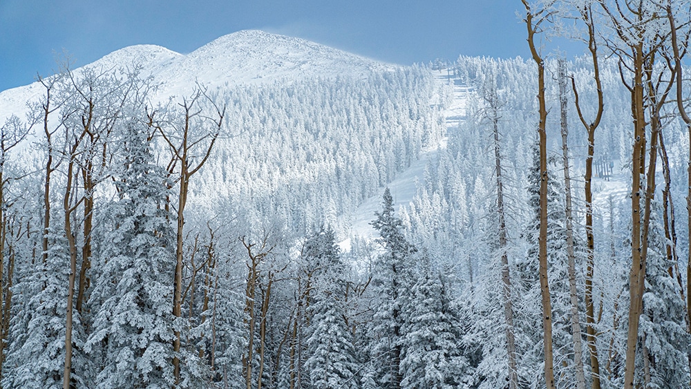 Trail at Arizona Snowbowl with fresh snow.