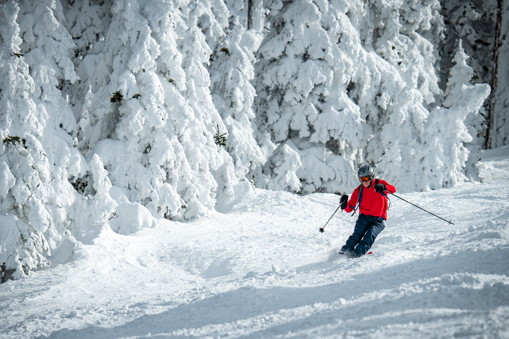 Skier on a Powder Day at Arizona Snowbowl