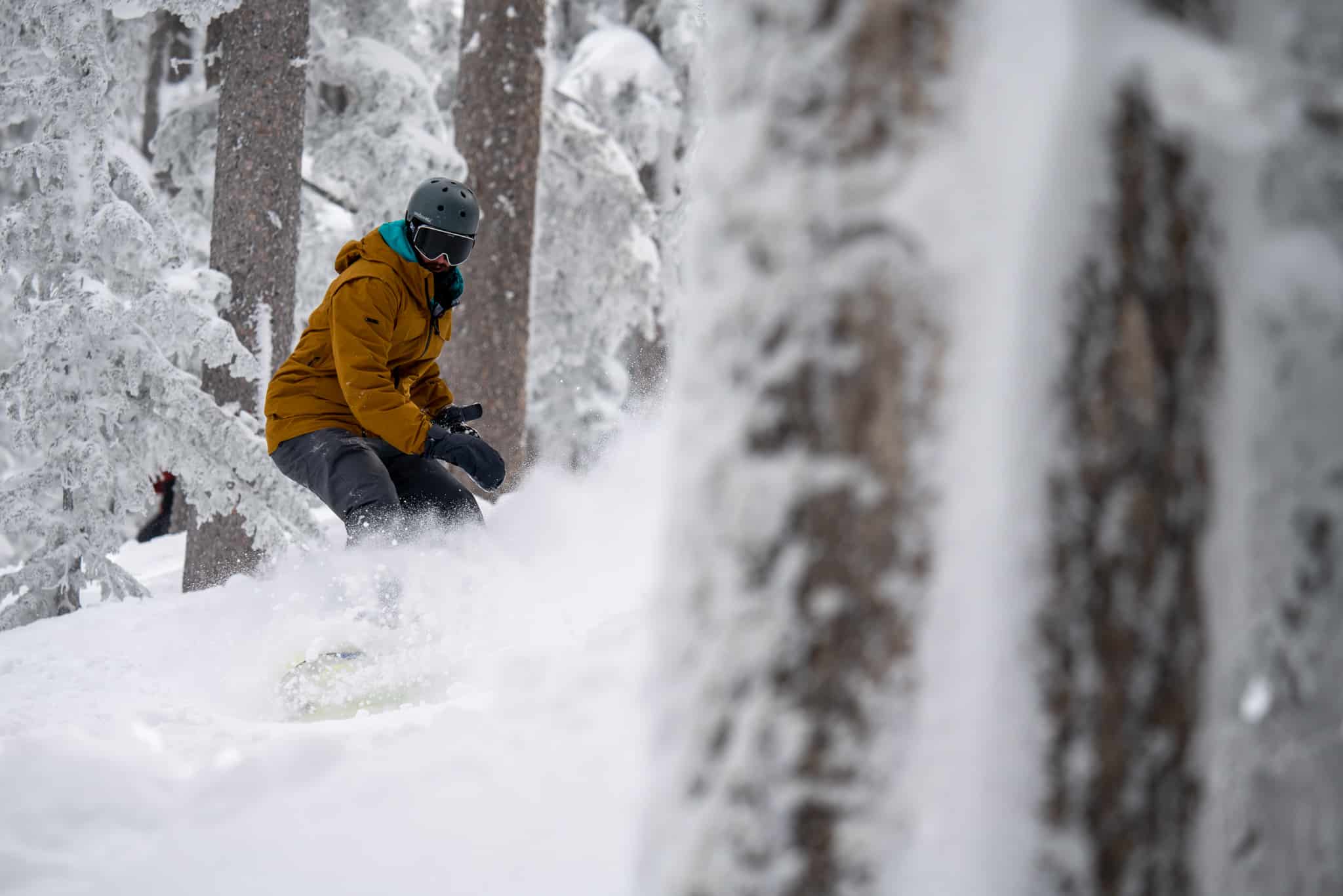 Snowboarder in powder riding trees