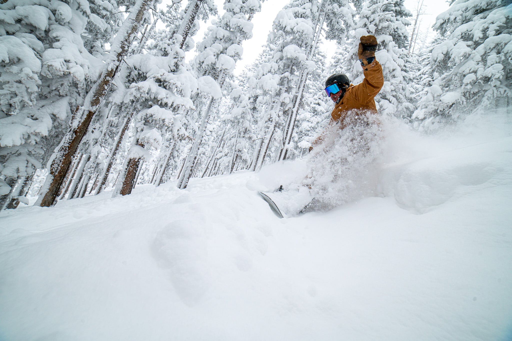 Snowboarder on deep powder day at Arizona Snowbowl.