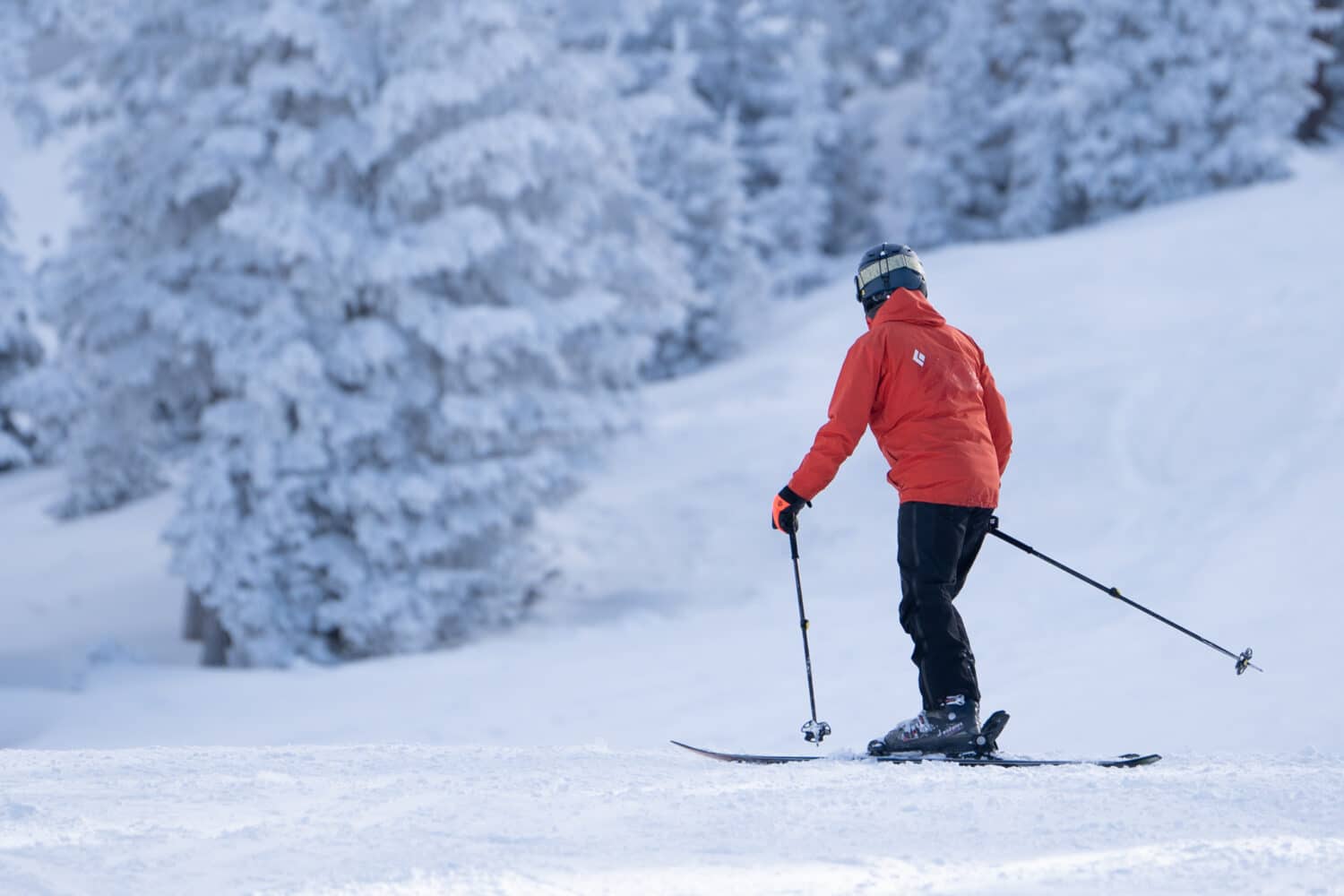 Over 100 Inches of Snowfall this Season! - Arizona Snowbowl