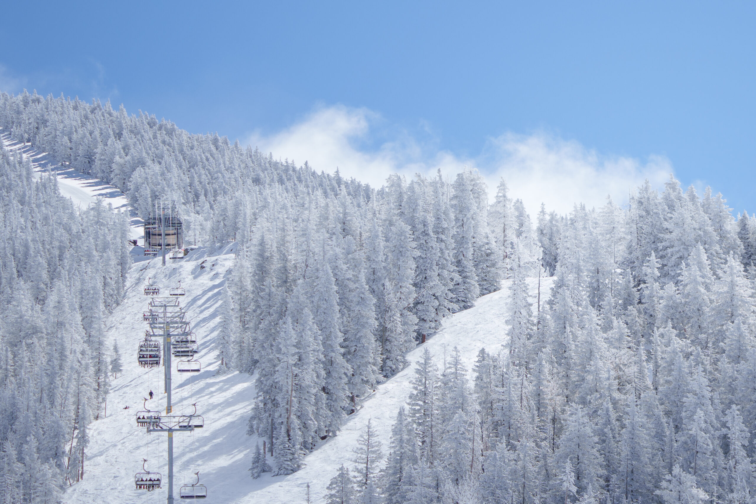 Bluebird Day at Snowbowl