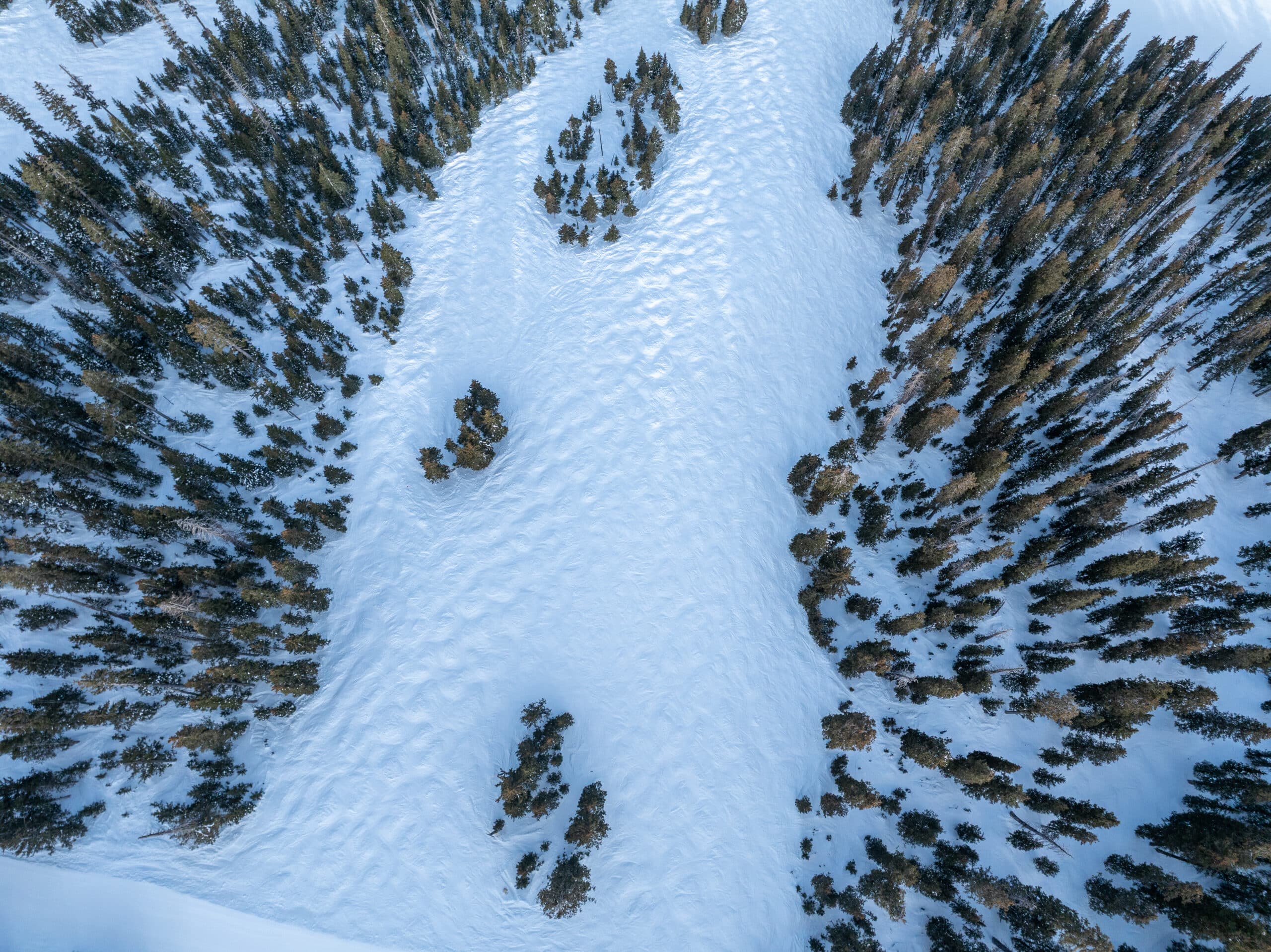 Aerial view of moguls on a ski run at Snowbowl.