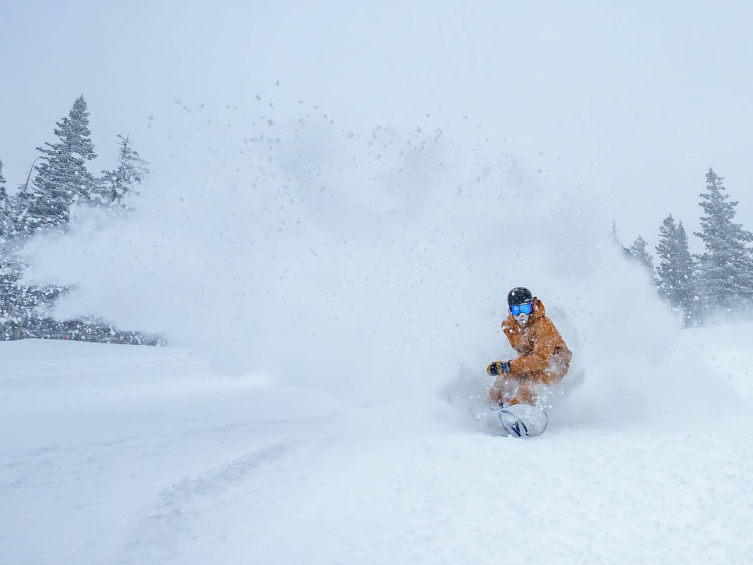 Snowboarder on a Pow Day