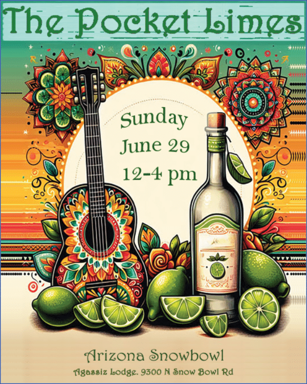 The Pocket Limes Music Poster