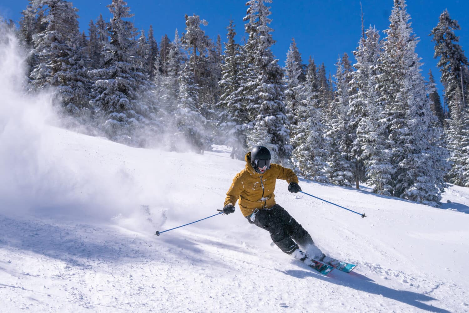 Skier on a powder day run, Snowbowl 04.19.25