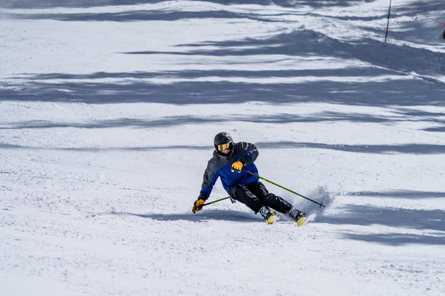 Skier carving the slopes at Arizona Snowbowl