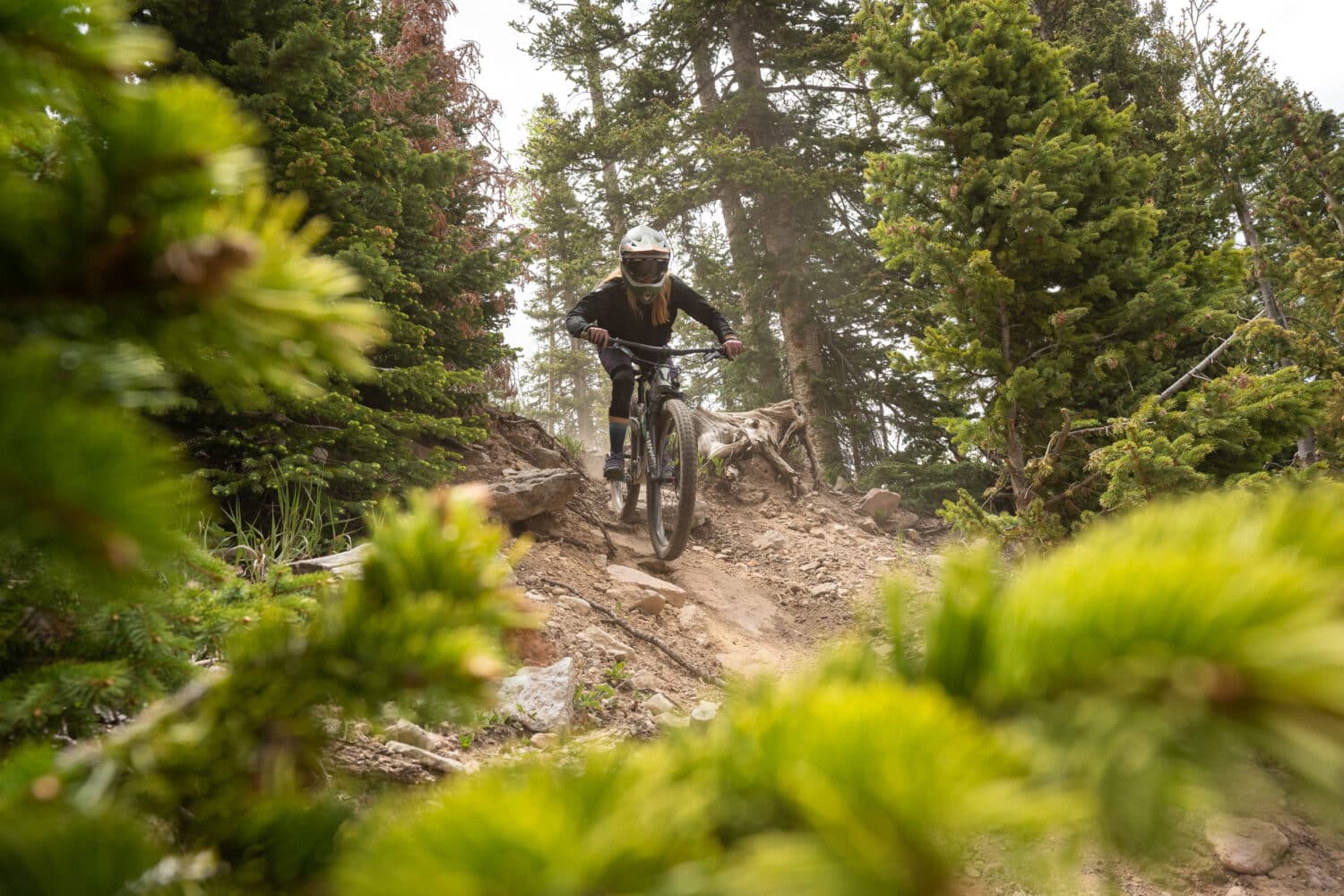 Mountain biker coming downhill