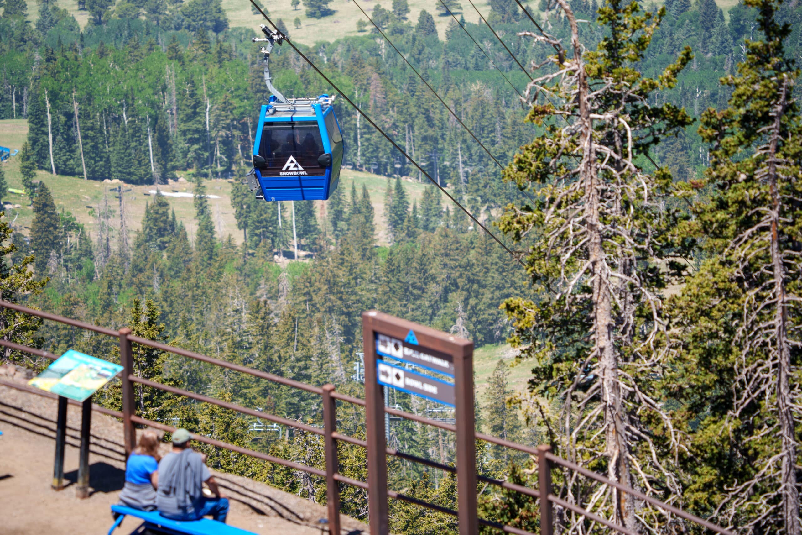 Arizona Gondola coming up to the top of the terminal