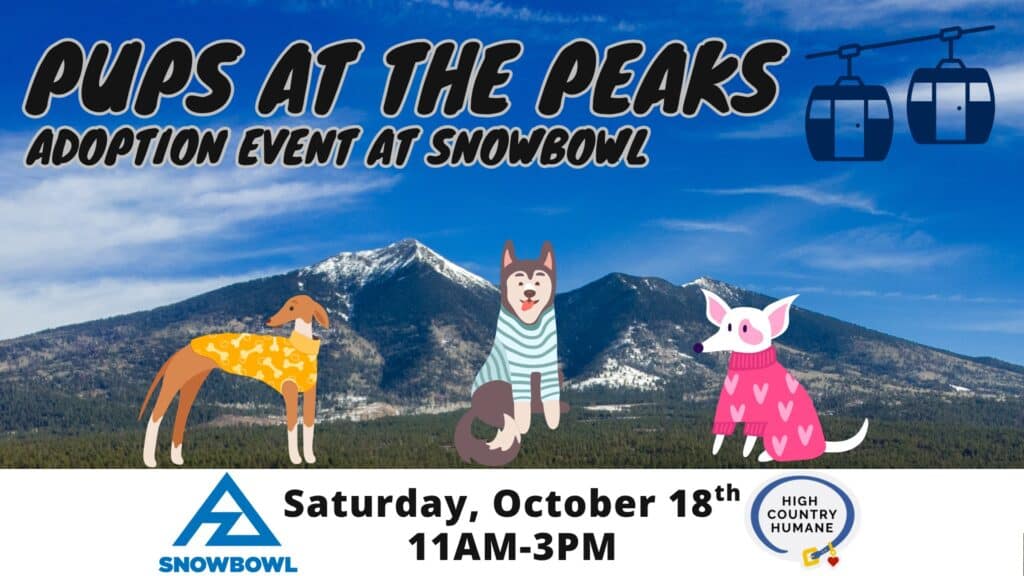 High Country Humane Adoption Event Poster