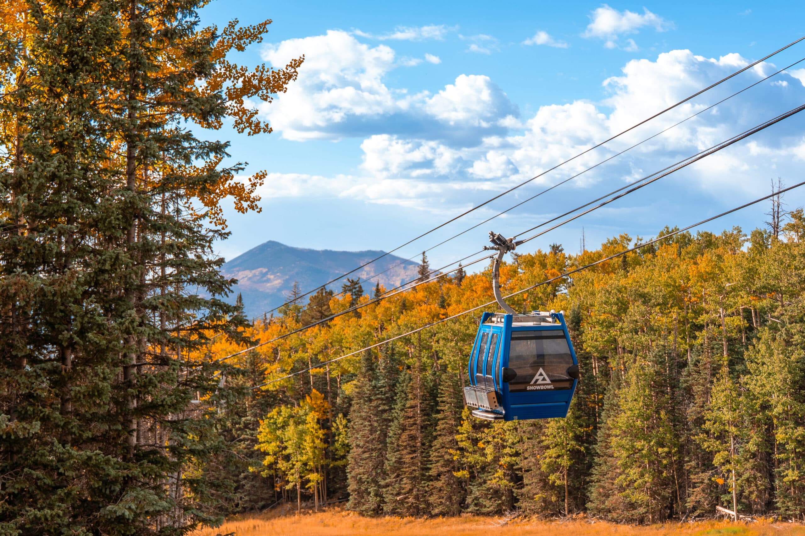Scenic Gondola Rides during the fall season at Snowbowl