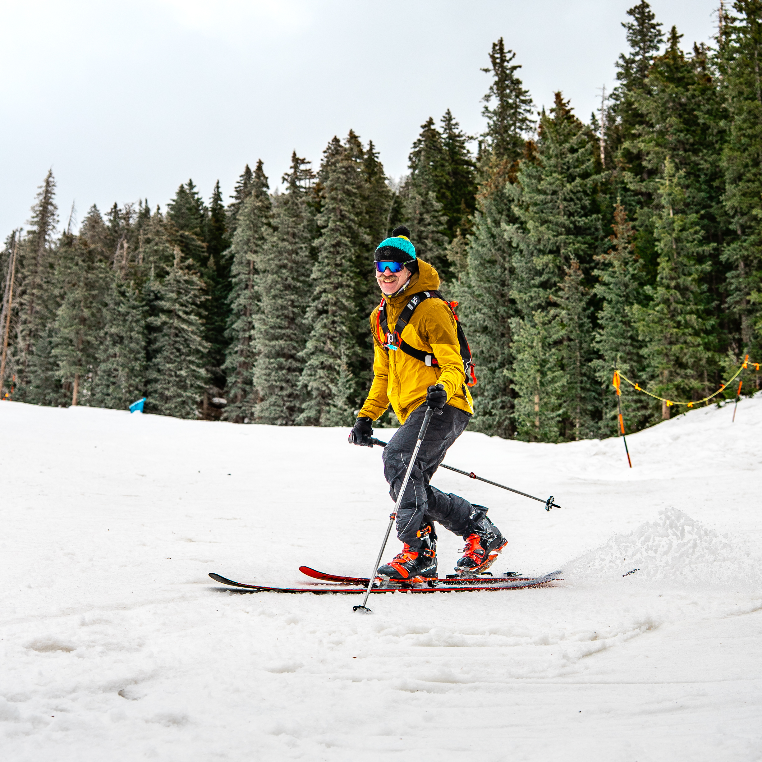 Telemark Skier