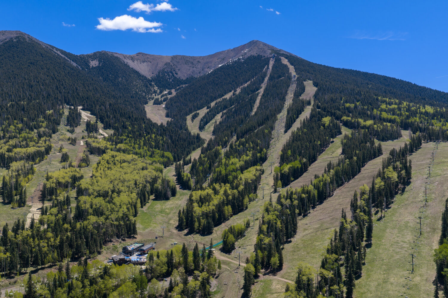 Aerial view of Snowbowl and Agassiz Lodge in the summer