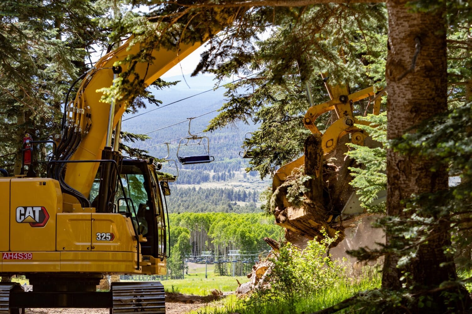 A CAT excavator removing dead and downed trees near Hart Prairie
