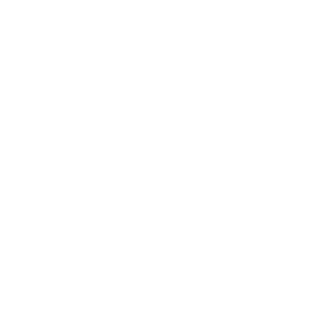 Snowflake icon